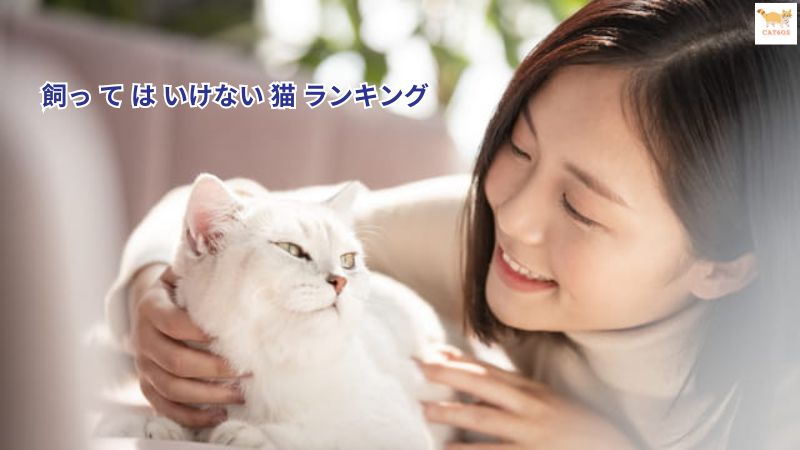 飼っ て は いけない 猫 ランキング